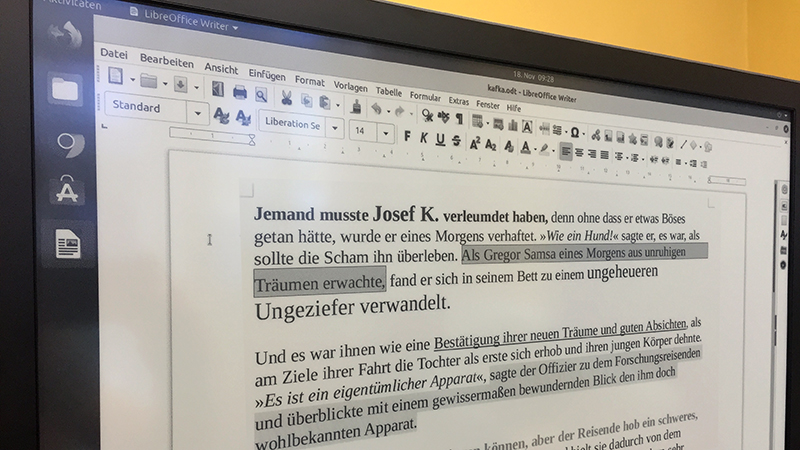 Dasung 25-Zoll eInk ePaper Monitor für Desktopanwendungen im Büroalltag
