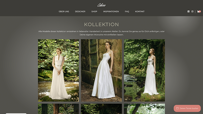 Webdesign und Entwicklung Wordpress Website mit Online-Shop