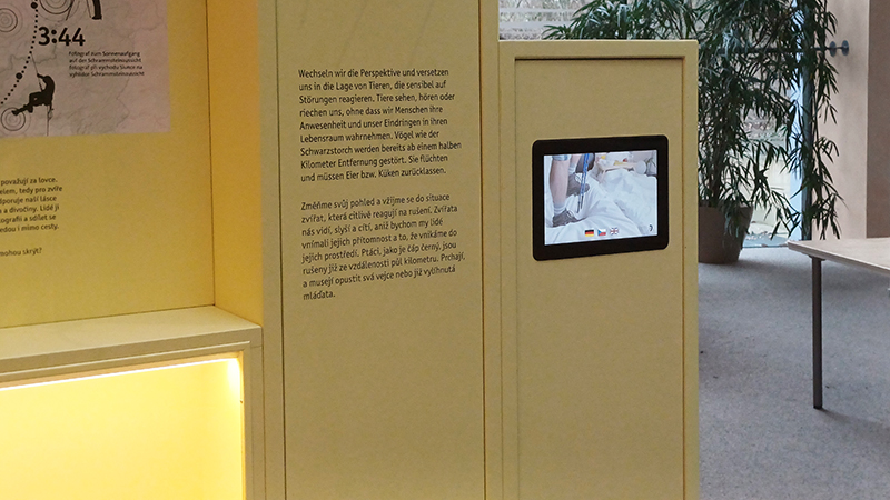 Medienstationen Nationalparkzentrum Bad Schandau